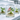Tissue Cultures Plants