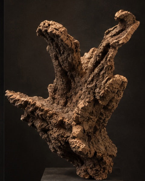 Cork statement, catalogue CP-000401