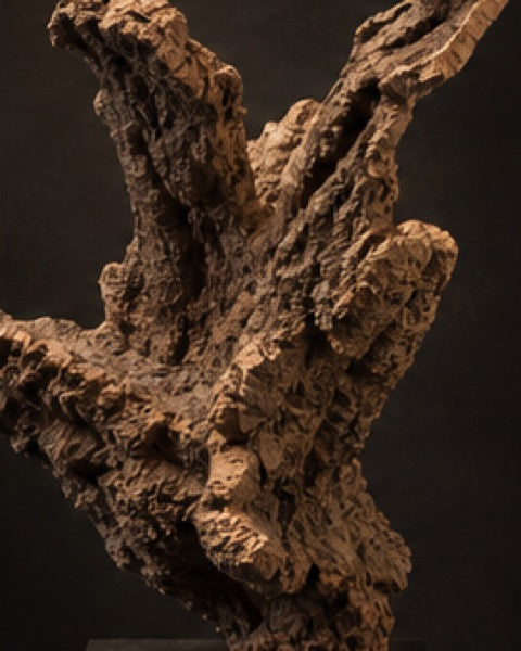 Cork statement, catalogue CP-000384