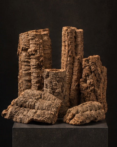 Cork round, catalogue CP-000431