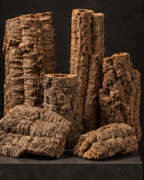 Cork round, catalogue CP-000368