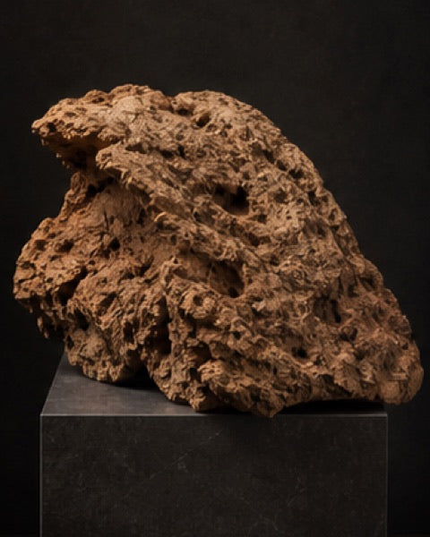 Cork half round, catalogue CP-000414