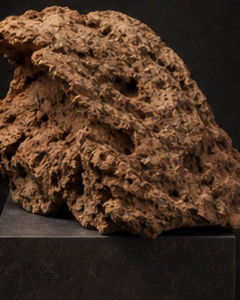 Cork half round, catalogue CP-000392