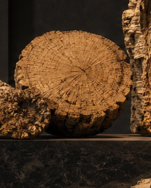 Cork round, catalogue CP-000444