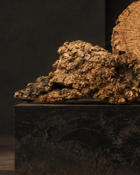Cork flat, catalogue CP-000421