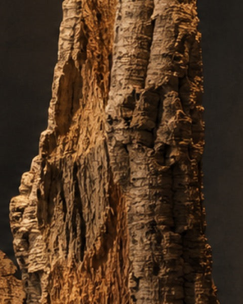 Cork half round, catalogue CP-000427