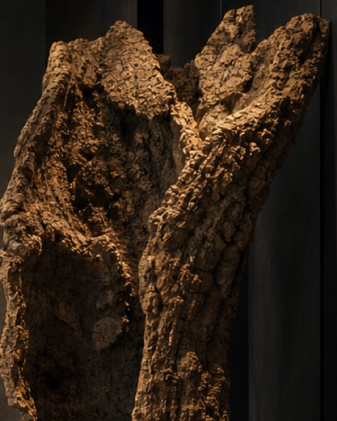 Cork statement, catalogue CP-000449