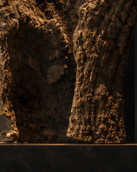 Cork statement, catalogue CP-000372